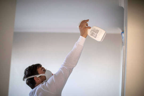 Best Affordable Mold Removal  in Homer, GA