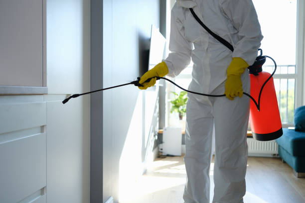 Best Crawl Space Mold Removal  in Homer, GA