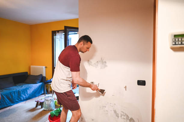 Best Home Mold Removal  in Homer, GA